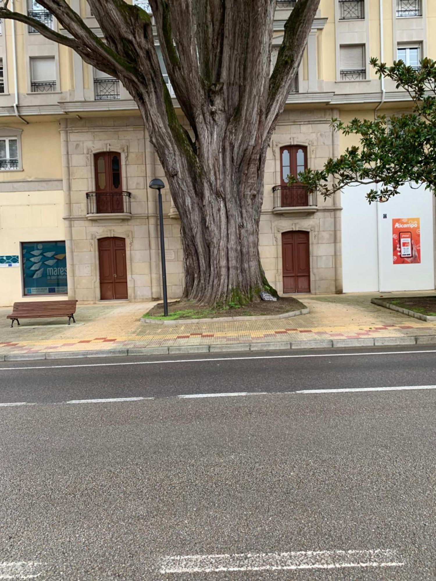 Mansion Del Indiano Apartment Viveiro Bagian luar foto